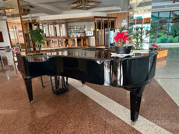 Pianoforte a coda Steinway & Sons