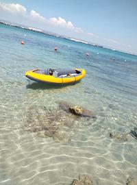 Kayak