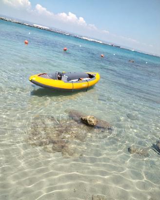 Kayak
