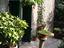 Immagine 4