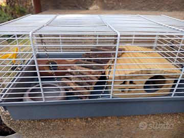 Gabbia criceto+gabbietta da viaggio