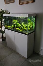 Acquario 240Lt
