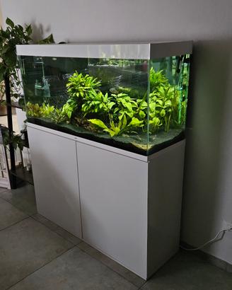 Acquario 240Lt