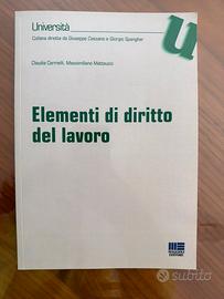 Elementi di diritto del lavoro