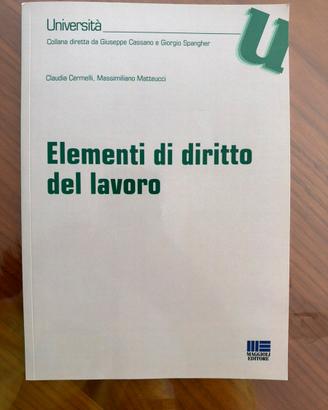 Elementi di diritto del lavoro