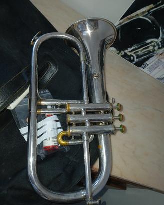 flicorno soprano