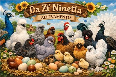 Avicoli ornamentali