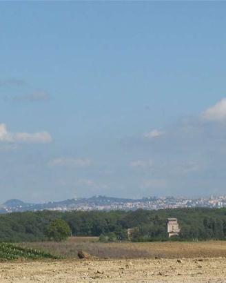 Terreno Edificabile a Marsciano