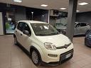 fiat-panda-1-0-firefly-s-s-hybrid