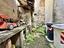 Immagine 15