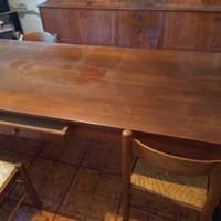 Tavola in legno di Olmo