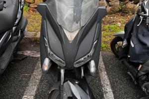 Xmax 250