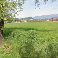 Terreno agricolo 5.500 mq