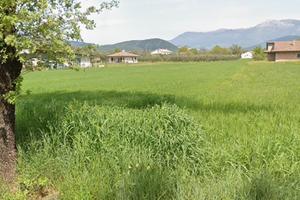 Terreno agricolo 5.500 mq