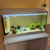 Acquario 90 litri