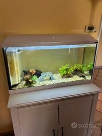 Acquario 90 litri