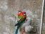 Immagine 6