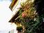 Immagine 10