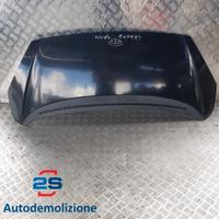 COFANO ANTERIORE PEUGEOT 1007 (05-10)