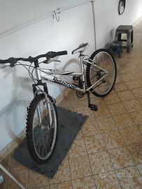 bottecchia fx 500