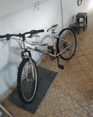 bottecchia fx 500