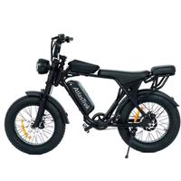 speciale bici elettrica X5