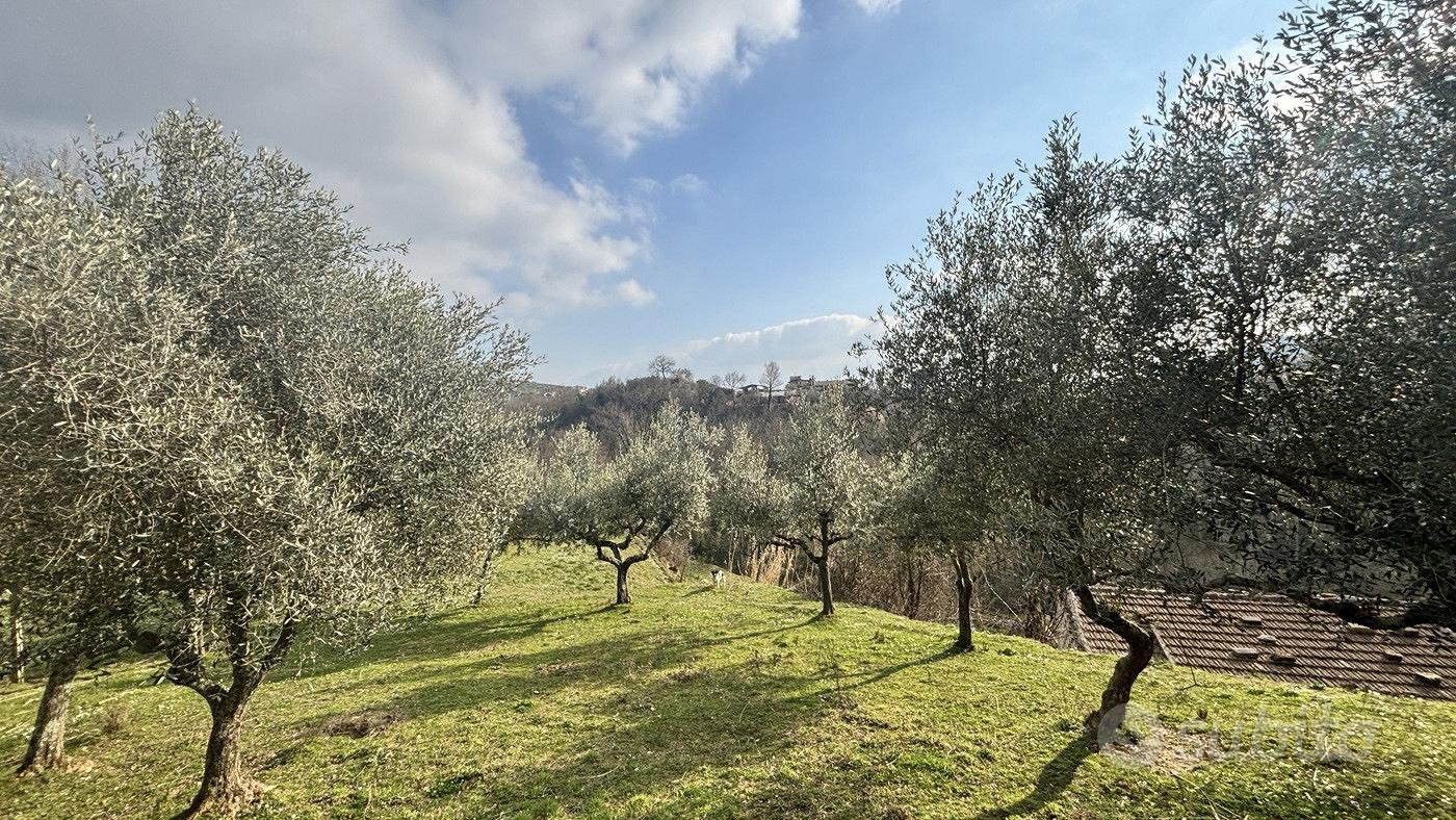Rustico/Casale/Corte Alatri [Cod. rif 3297841VRG] - Vista 4