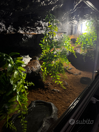 Terrari su misura per rettili etc