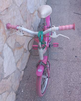Coppia bici