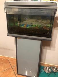 Acquario completo 60 litri tetra