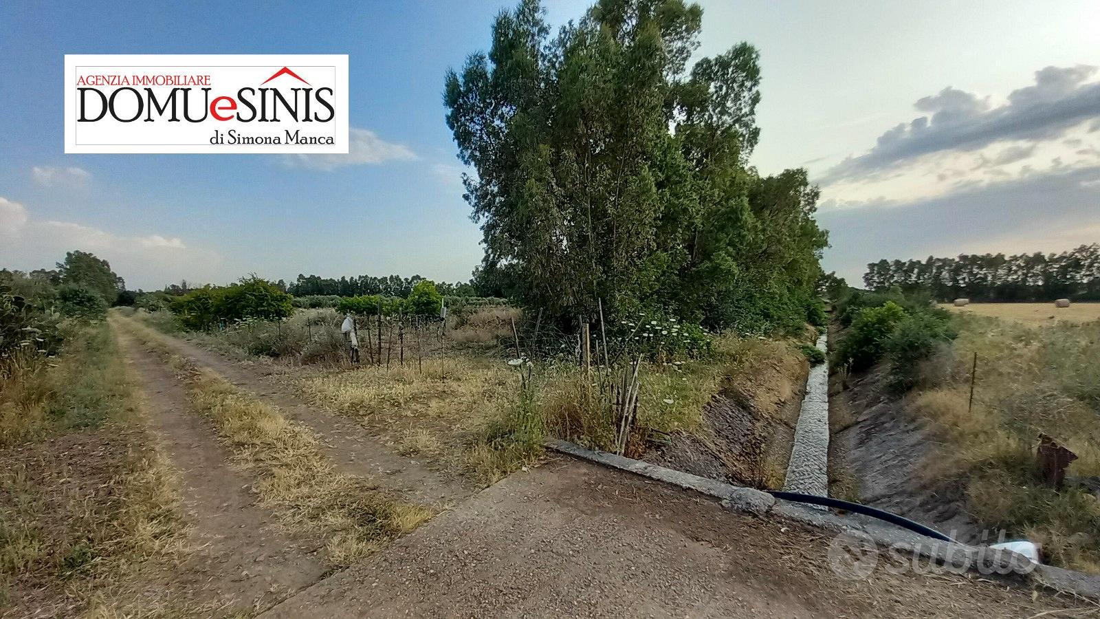 Terreno agricolo milis - Vista 2