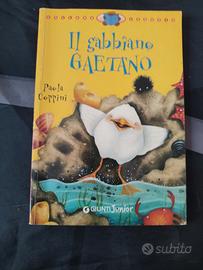 Il gabbiano gaetano