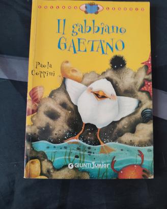 Il gabbiano gaetano