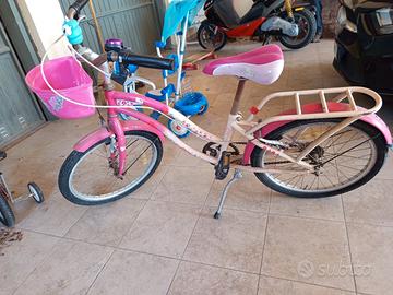 bicicletta ragazza 20 pallici