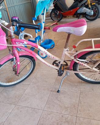 bicicletta ragazza 20 pallici
