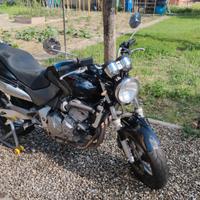 Honda Hornet 600 del 2001