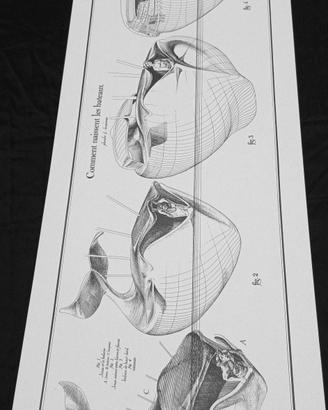 Poster Jean-Olivier Héron 100x33 cm vintage barche