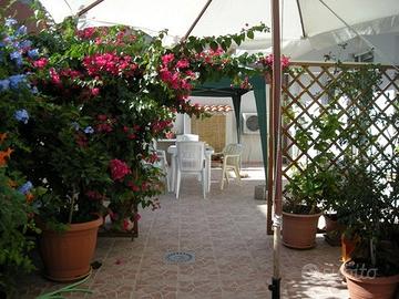 Cabras PenisolaSinis PT+giardino MariErmi IsArutas