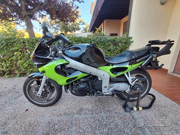 Triumph sprint RS 955i 