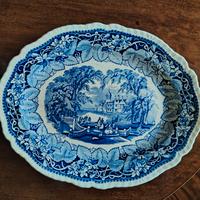 Piatto Mason's Vista Ironstone China England
