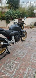 honda hornet 