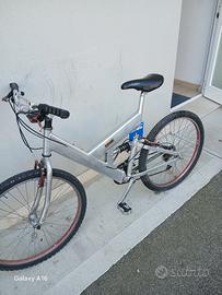 mtb in alluminio con amm.centrale