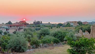 Appezzamenti terreni uliveto