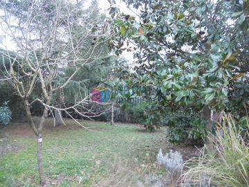 Terreno di 2000 m² a Livorno