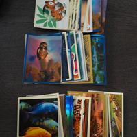 Noi Animali L'Unione fa la forza Panini