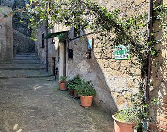 3 LOCALI A GROTTE DI CASTRO