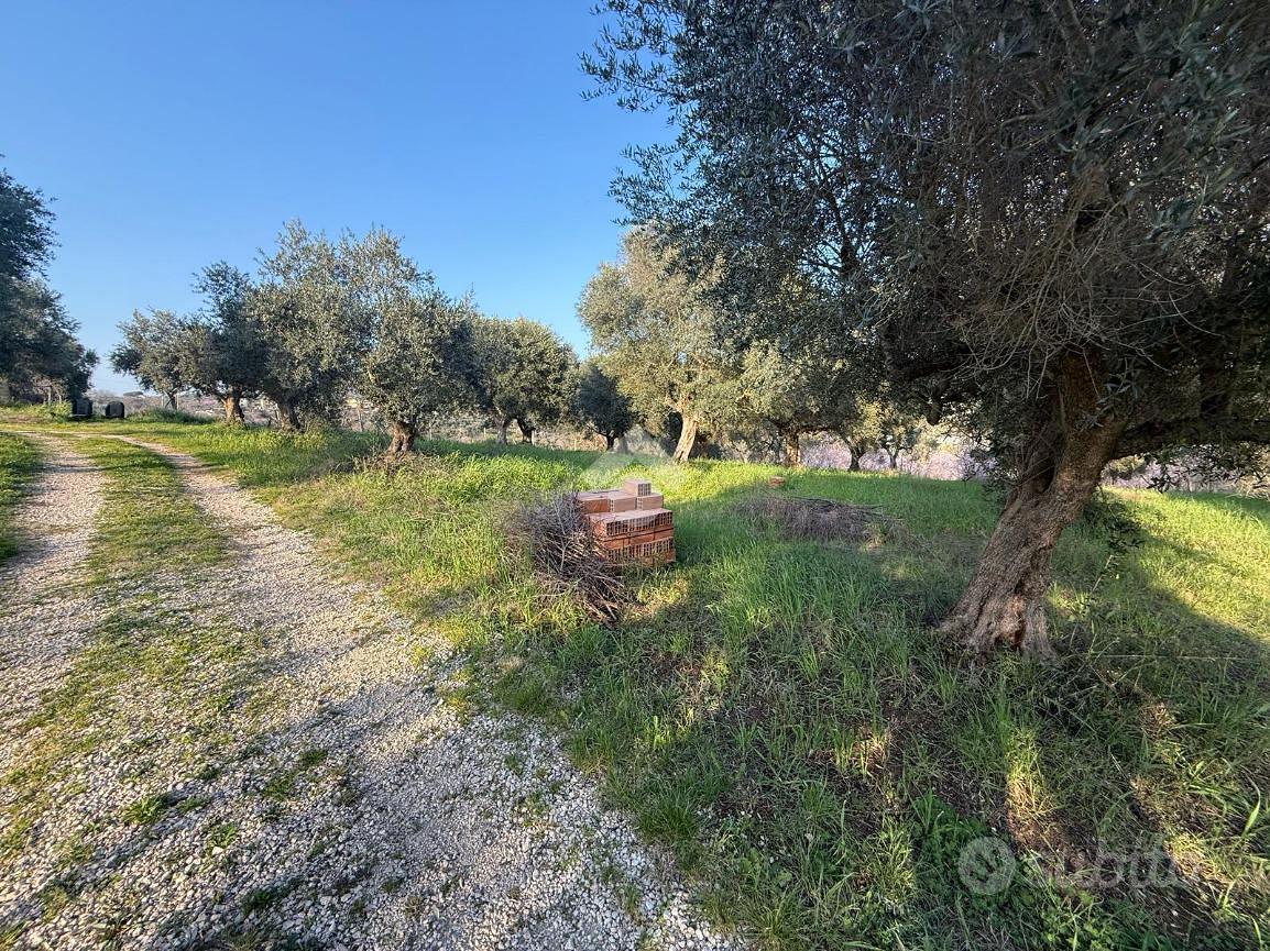TER. AGRICOLO A GUIDONIA MONTECELIO - View 4