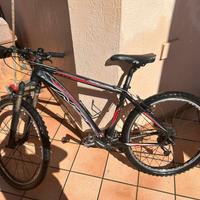 bicicletta nuzzi sport racing NSR