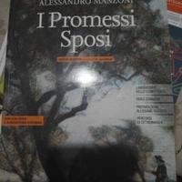 i promessi sposi libro