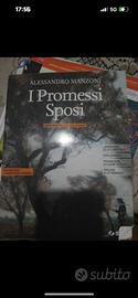 i promessi sposi libro